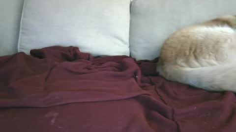 Snapshot of lowhangingfruit93 chatting on January 26, 3:48 am lowhangingfruit93 online show from January 26, 3:48 am