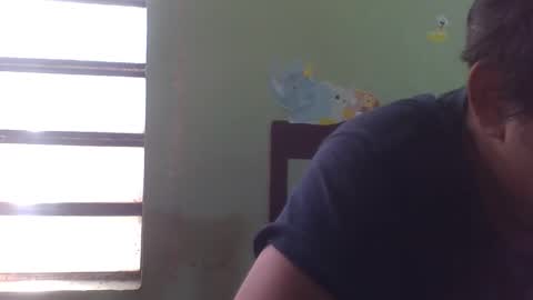 Snapshot of lpmauriciosantamaria chatting on December 5, 4:58 pm lpmauriciosantamaria online show from December 5, 4:58 pm