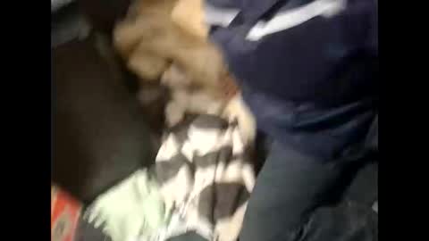 Snapshot of lshot_d chatting on November 28, 8:00 pm Lshot D online show from November 28, 8:00 pm