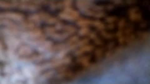 Snapshot of lubestroker4us chatting on February 14, 5:32 pm lubestroker4us online show from February 14, 5:32 pm