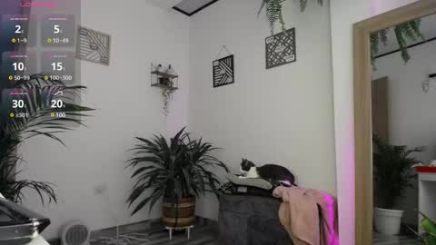Snapshot of luciiana_lol chatting on February 25, 3:05 pm luciiana online show from February 25, 3:05 pm
