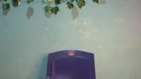 Gloria online show from November 17, 1:00 am