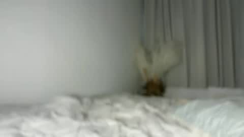 lucyforr online show from August 1, 4:23 am