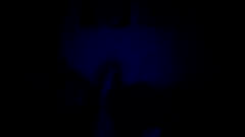 luffray online show from February 9, 12:14 am