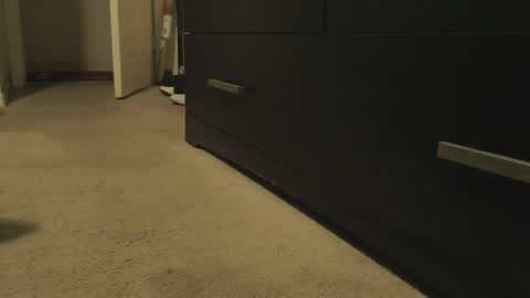 LUGO online show from April 11, 9:13 am