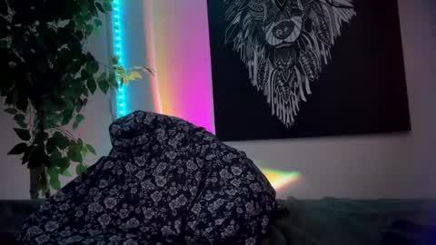 luisjg24hrs online show from May 17, 8:38 pm