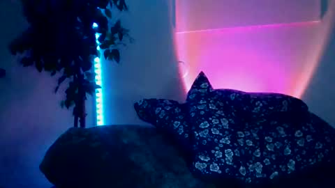 luisjg24hrs online show from May 18, 8:42 am