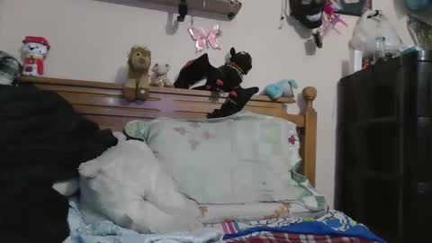 Snapshot of luismiastarot chatting on October 28, 1:53 am luismiastarot online show from October 28, 1:53 am