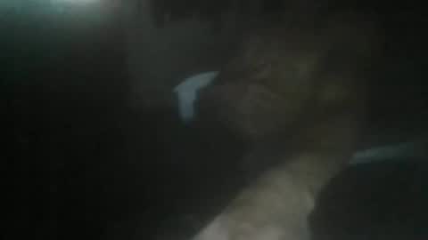 luizs23 online show from November 5, 5:07 am