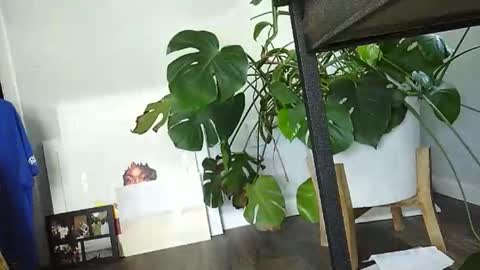 Luke online show from March 15, 7:31 pm