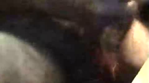 Snapshot of lukestarfckr chatting on November 18, 5:34 am lukestarfckr online show from November 18, 5:34 am