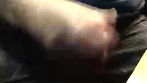 Snapshot of lukestarfckr chatting on November 23, 7:57 pm lukestarfckr online show from November 23, 7:57 pm