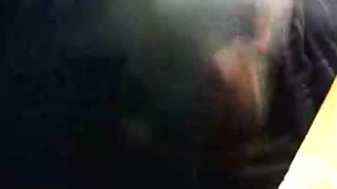 Snapshot of lukestarfckr chatting on February 15, 9:33 pm lukestarfckr online show from February 15, 9:33 pm