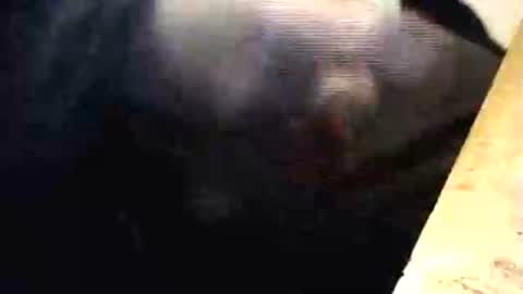 Snapshot of lukestarfckr chatting on March 1, 6:32 pm lukestarfckr online show from March 1, 6:32 pm