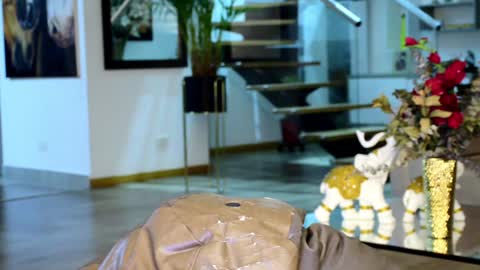 Lukhas f4f online show from February 1, 5:07 am