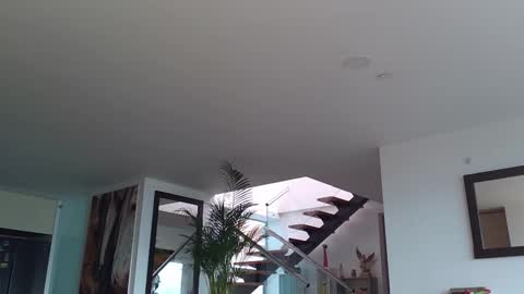 Lukhas f4f online show from February 12, 8:07 pm