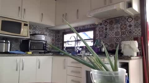 lucifer online show from February 18, 4:05 pm