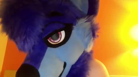 Luna online show from August 10, 5:00 am