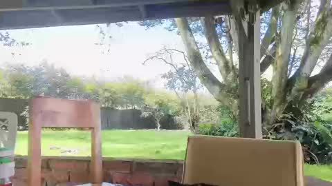 lunaluxe1001 online show from March 20, 2:33 pm