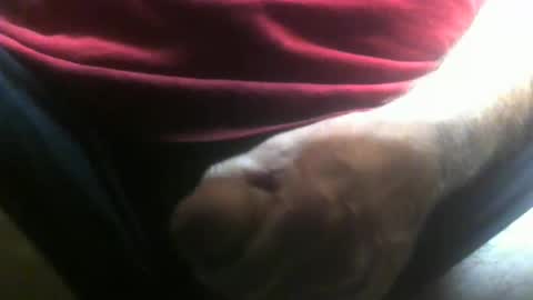 lunatica12 online show from February 10, 4:27 am