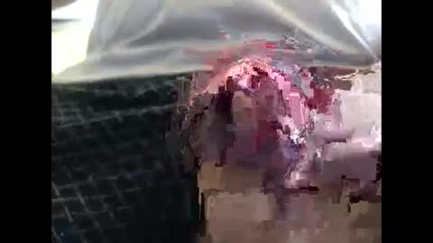 lutorres online show from September 19, 11:55 am