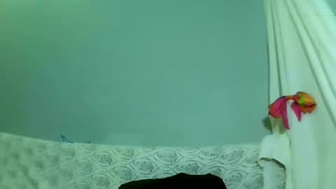 Bee Bee online show from February 10, 5:36 am