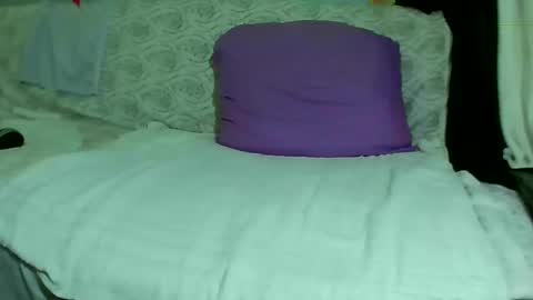 Bee Bee online show from February 23, 7:11 am