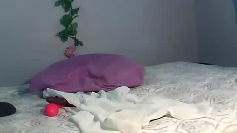 Bee Bee online show from October 15, 3:50 am