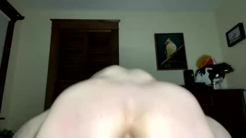 lyle blue online show from February 7, 9:35 am