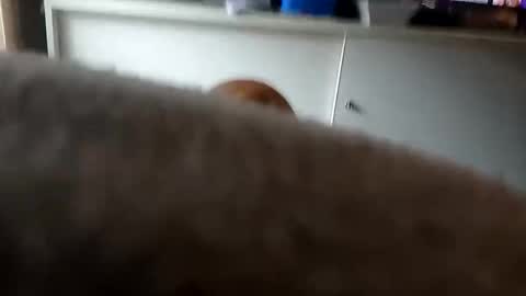 MACE online show from September 26, 9:41 pm