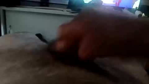 MACE online show from December 16, 7:30 pm