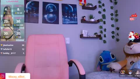 Snapshot of macey_hairy chatting on December 23, 2:45 am Macey Elliot Modelo Independiente online show from December 23, 2:45 am