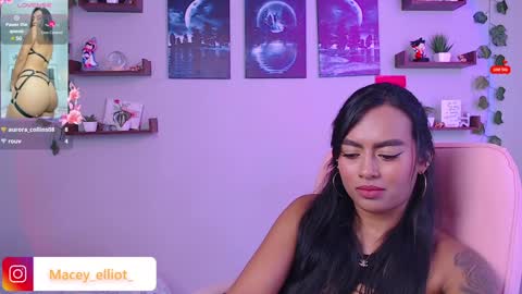 Snapshot of macey_hairy chatting on February 6, 3:31 pm Macey Elliot Modelo Independiente online show from February 6, 3:31 pm