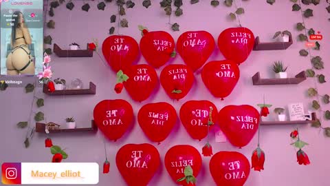Snapshot of macey_hairy chatting on February 15, 2:55 pm Macey Elliot Modelo Independiente online show from February 15, 2:55 pm