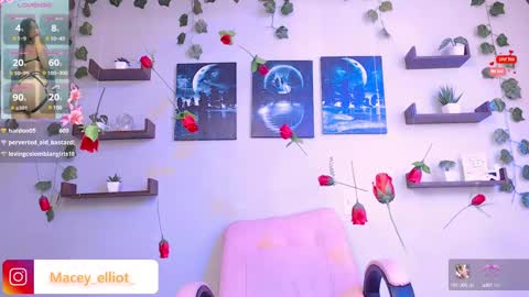 Snapshot of macey_hairy chatting on February 26, 7:16 pm Macey Elliot Modelo Independiente online show from February 26, 7:16 pm