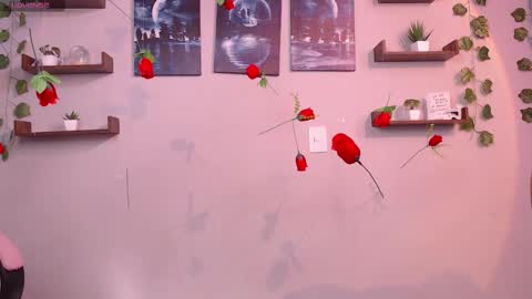 Snapshot of macey_hairy chatting on March 1, 2:02 pm Macey Elliot Modelo Independiente online show from March 1, 2:02 pm