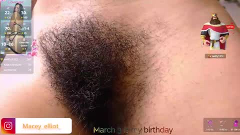 Snapshot of macey_hairy chatting on March 2, 11:42 pm Macey Elliot Modelo Independiente online show from March 2, 11:42 pm