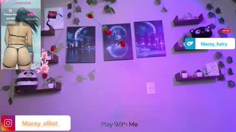 Snapshot of macey_hairy chatting on March 12, 9:35 pm Macey Elliot Modelo Independiente online show from March 12, 9:35 pm