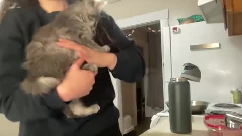 Snapshot of maddyhasyummypussy chatting on December 15, 12:48 am maddyhasyummypussy online show from December 15, 12:48 am