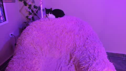 Madeline  online show from September 29, 1:11 am