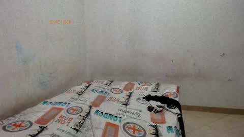 Snapshot of madisson__sexx chatting on May 29, 2:37 pm Valentina online show from May 29, 2:37 pm