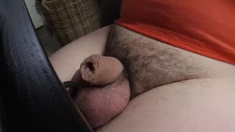 Snapshot of madwolf003 chatting on January 21, 1:43 pm HOTnHORNY online show from January 21, 1:43 pm