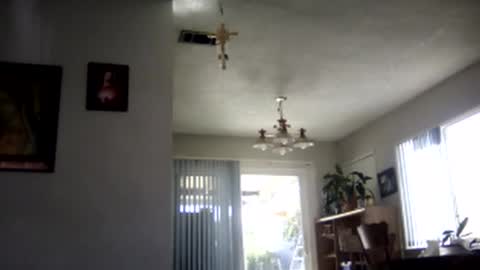 magdalena_805 online show from February 7, 9:48 pm