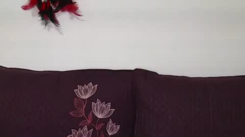 magic door open online show from October 30, 9:11 am