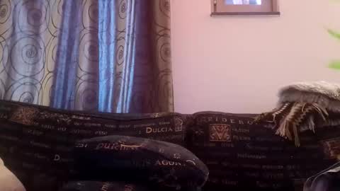 majorxoxo online show from November 26, 7:31 am