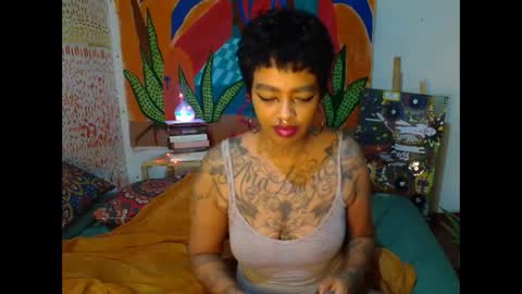 malaika online show from September 14, 10:09 pm