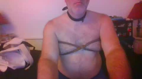 CommandbondageNipples bondage kink submissive lovense slave wgear. modequiethvyBondage If Password goldfish online show from October 14, 7:31 am