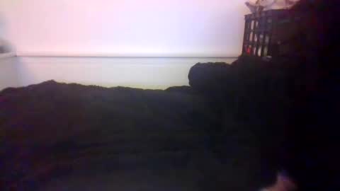 CommandbondageNipples bondage kink submissive lovense slave wgear. modequiethvyBondage If Password goldfish online show from October 20, 7:20 am