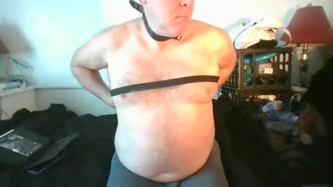 CommandbondageNipples bondage kink submissive lovense slave wgear. modequiethvyBondage If Password goldfish online show from March 3, 10:59 pm