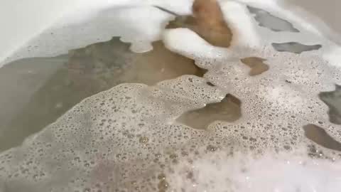 Snapshot of malekula1 chatting on November 10, 9:03 pm Monad online show from November 10, 9:03 pm